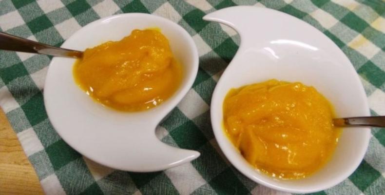 mango gember sorbet (ijs maker)