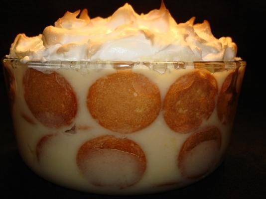 de zuidelijke bananenpudding van de baby