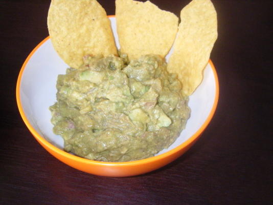 geweldige gavacho guacamole