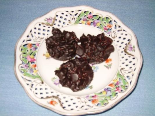 chocolade blokken met fruit en noten