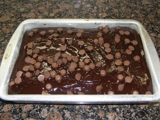 eenvoudig magnetron chocolade glazuur