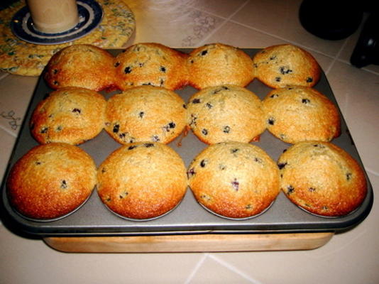 lekkere grote blueberry haver zemelen muffins