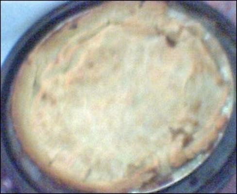 hoender pastei (boer chicken pie)