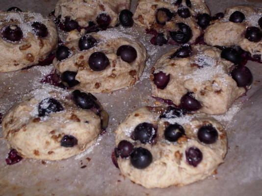 noe valley bakkerij blueberry pecan scones
