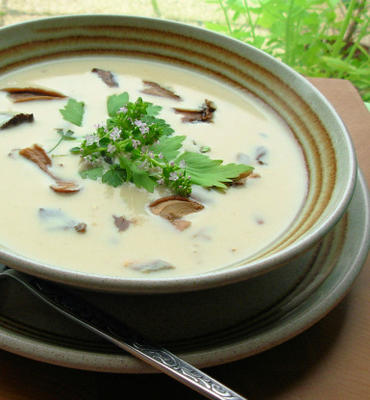 wilde paddestoelen en karnemelk soep