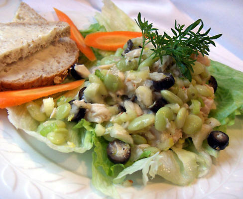 tonijn-lima salade
