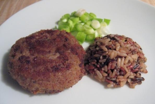 zijden lammeren (shammi kebab)