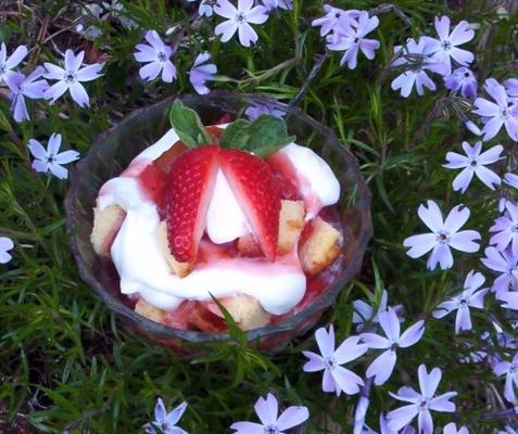 aardbei trifle cake