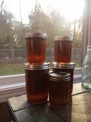 persimmon jam