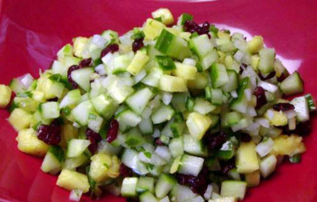 ananas salsa van de komkommer met gedroogde veenbessen