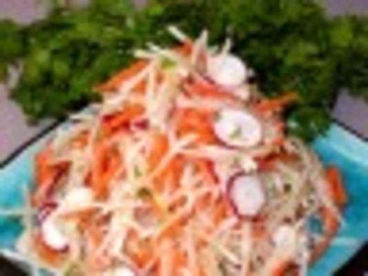 gember, wortel en daikon salade
