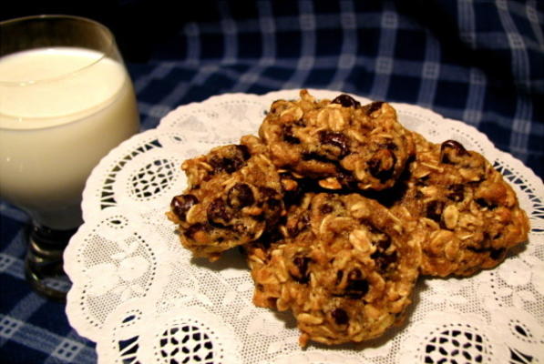 gov havermout chocoladeschilferkoekjes