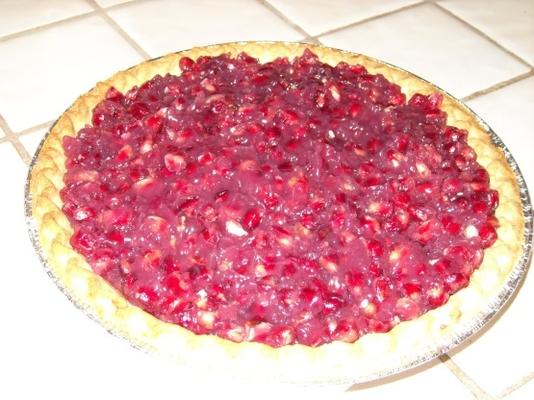 verse granaatappelpastei