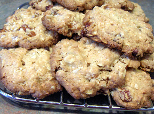 ouderwetse kokosnoot havermout koekjes