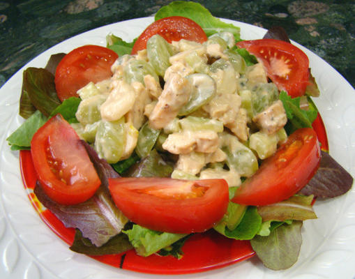 krokante, magere salade van zomerkippen