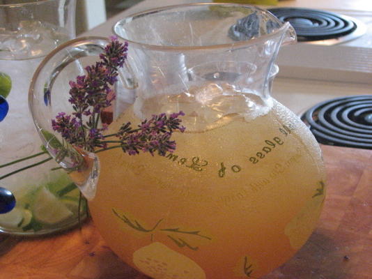 lavendel limonade thee - heet of bevroren