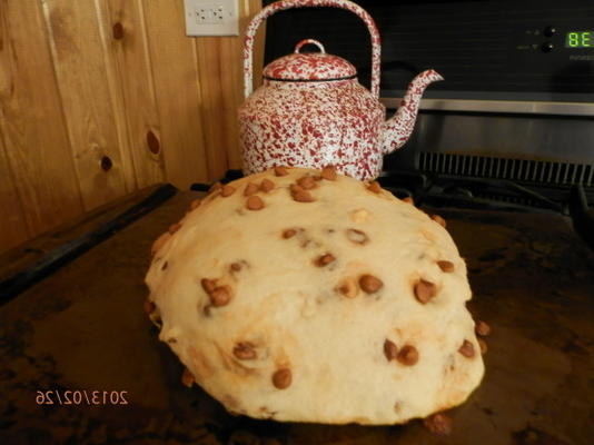 kopieer kat grote oogst kaneel burst brood