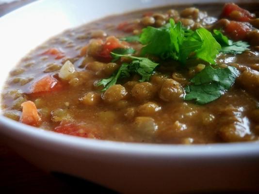 kruik pot curried linzensoep