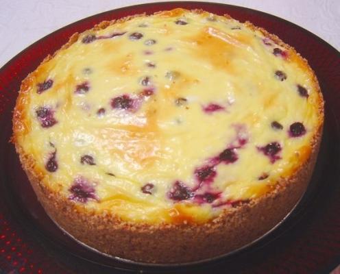 suikerarme bosbessen cheesecake.