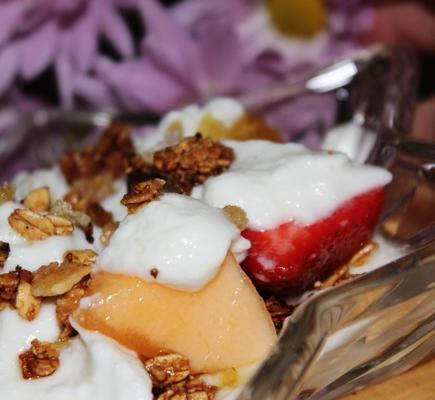 yoghurt met tropisch fruit