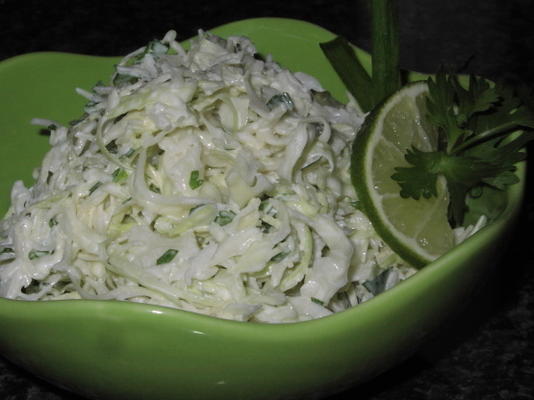 tequila slaw met limoen en koriander