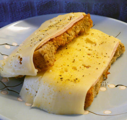 Spaanse stijltomaat met ham of kaassandwich