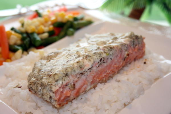 gekruide zalmfilets