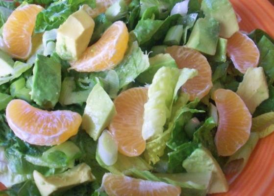 Romaine salade met avocado en sinaasappels