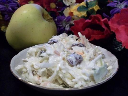 cranberry apple koolsalade