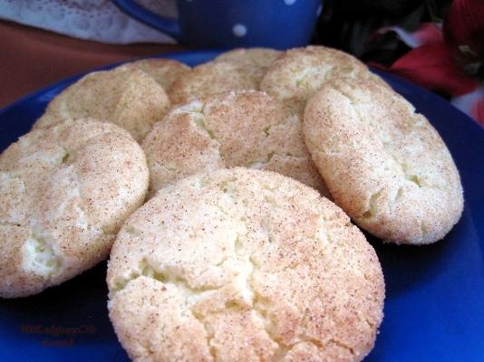 ouderwetse snickerdoodles