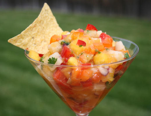 tropische schat mango salsa door ali baba's babes