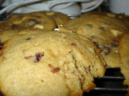 cranberry chocolate chip cookies