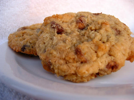 de havermeelchocoladeschilferkoekjes van dee