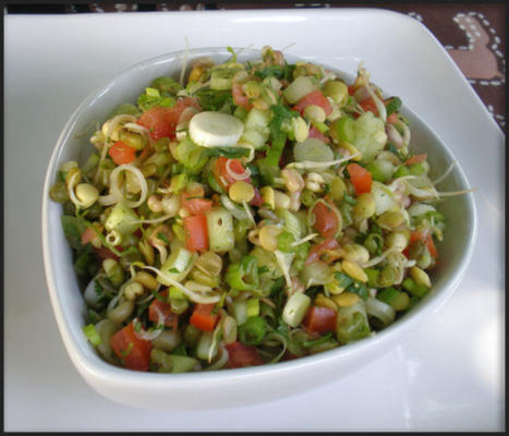 Indiase gekiemde kekers salade