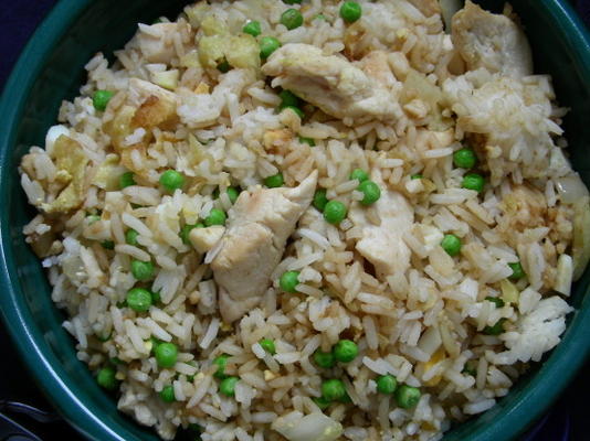 kortgesneden gebraden rijst (oamc)