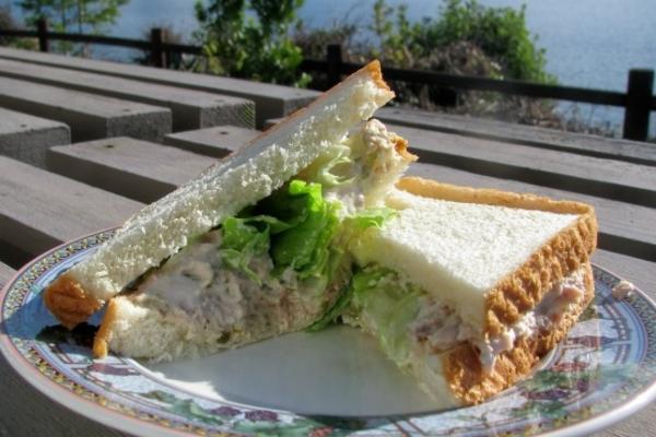 tonijn sandwich: eenvoudig en heerlijk