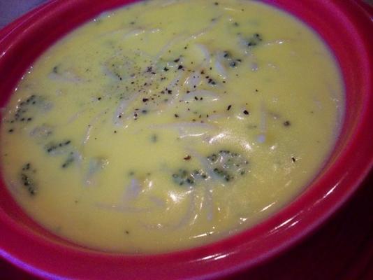 sandy's broccoli cheese noodle soup