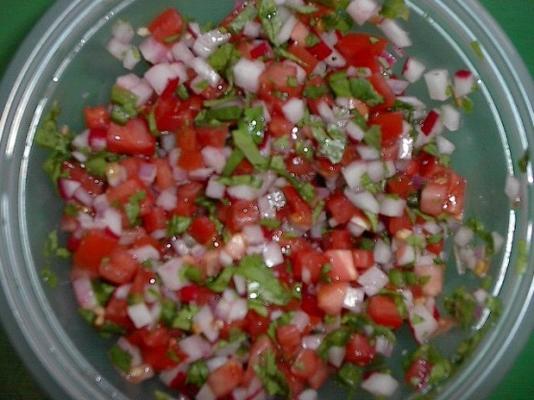 chimol (salvadoran radijs salsa)