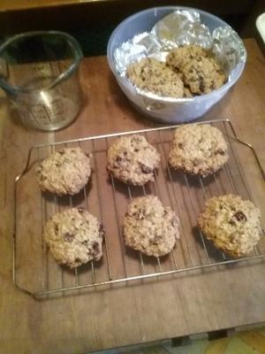 havermoutkoekjes met rozijnen en veenbessen