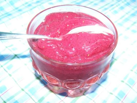 bevroren bessen sorbet