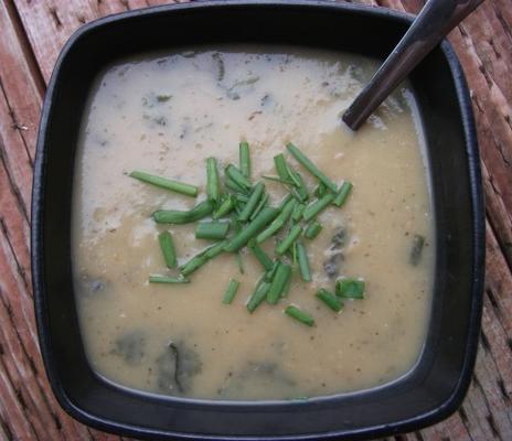 Portugese aardappel en koriander soep