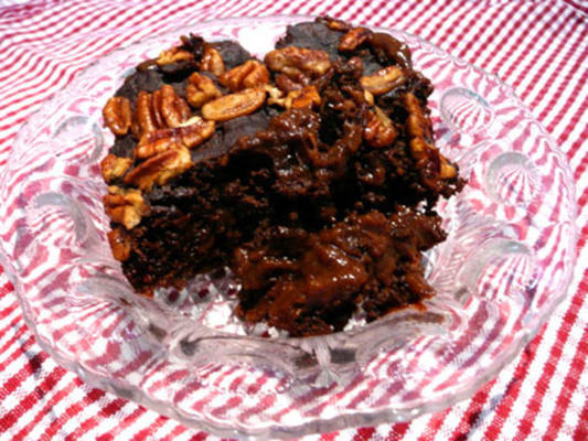 chocolade cake met laag vetgehalte en fudge