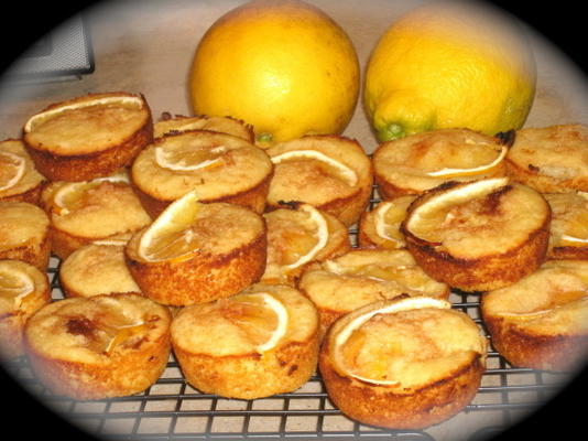 Meyer citroen muffins