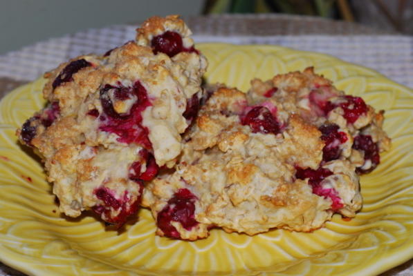 citroen cranberry haver scones