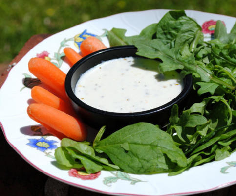 karnemelk balsamico salade dressing