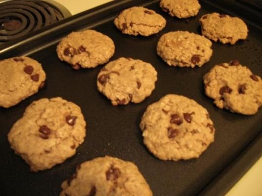 veganistische chocoladebrood farina notenkoekjes