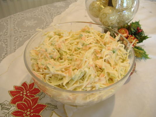 basis familiereünie koolsalade