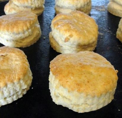 echte karnemelkkoekjes zonder de karnemelk