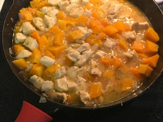 butternut squash en kip pasta