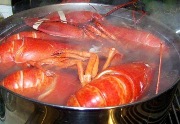 hoe een kreeft te koken